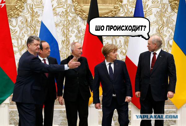 Предлагаю пожабить