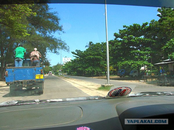 Мой папа в жизни не был на Занзибаре