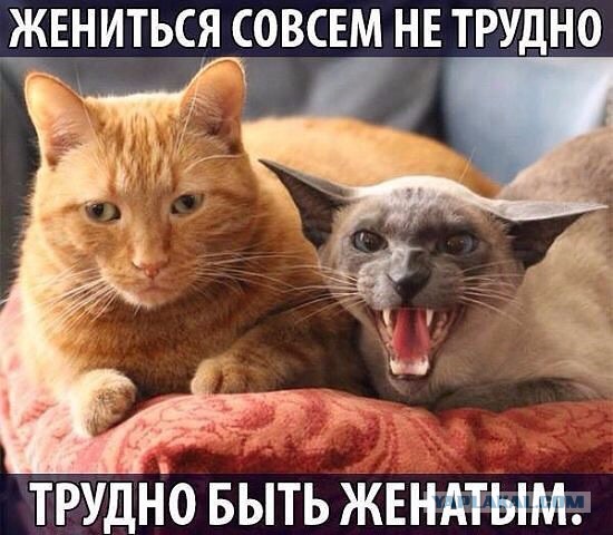 Вторничные картинки