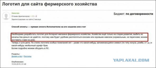 Надписи, таблички, маразмы