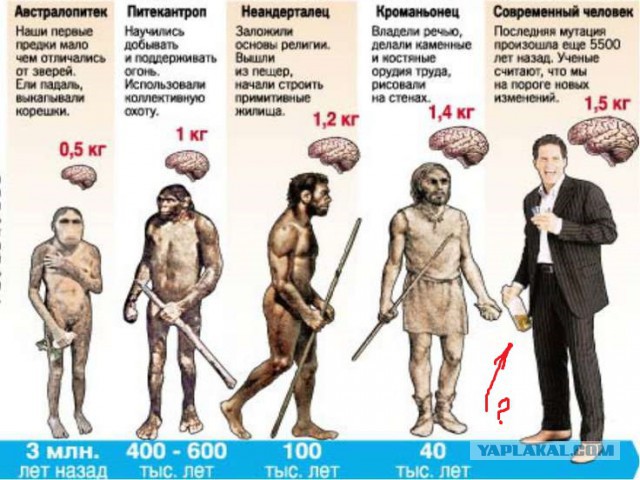 Кто съел параллельное человечество?