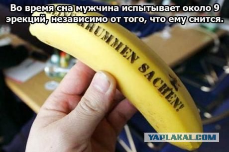 Сексуальные факты (22 фото)