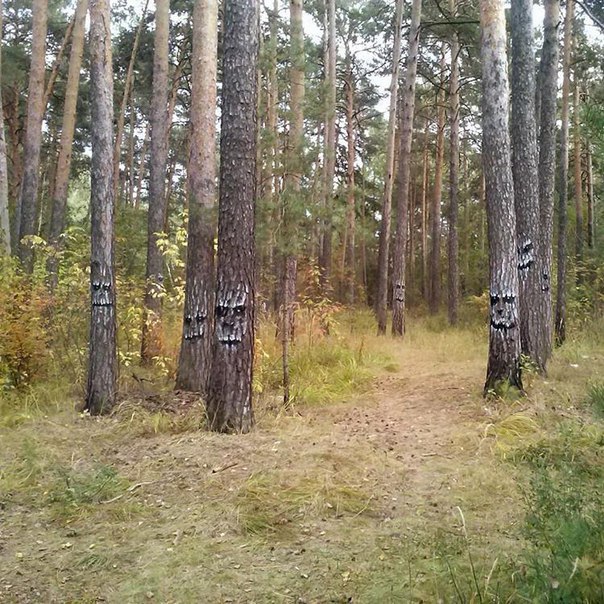 Лесной креатив