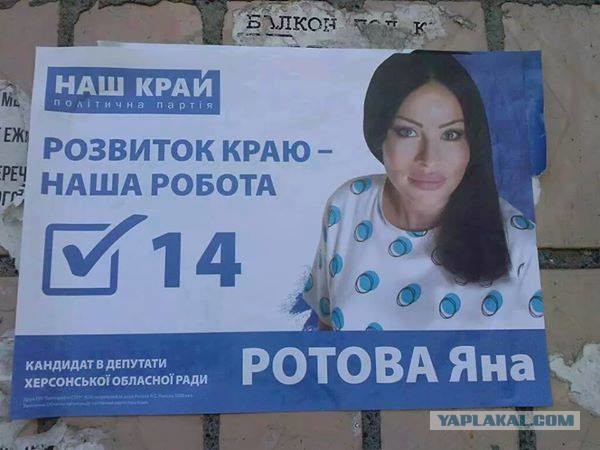 Выборы-выборы! Кандидаты... молодцы.