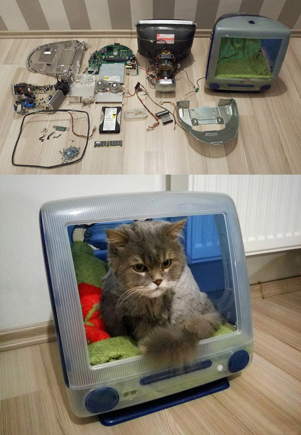 КОТЭдж