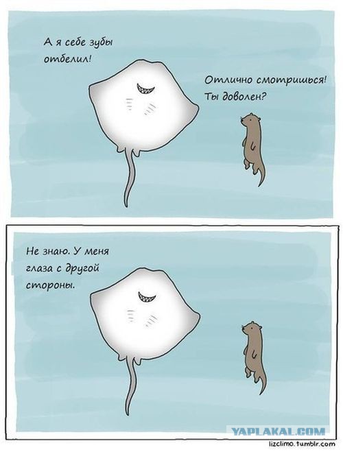 Подборка прикольных фото на среду