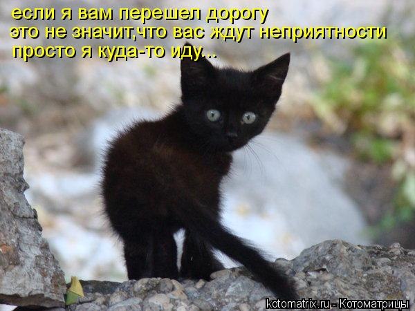 Картинки и демотиваторы