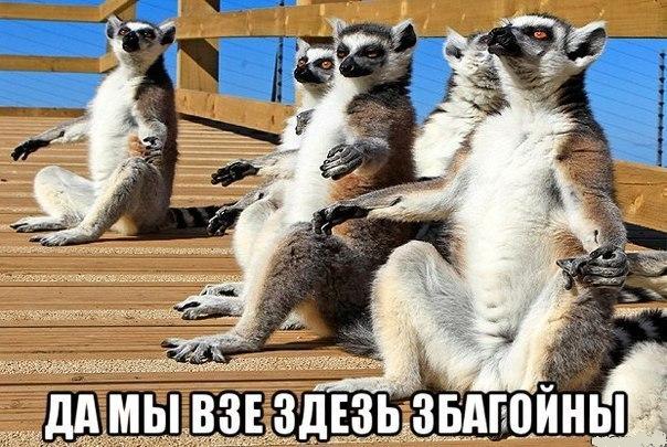Картинки и демотиваторы