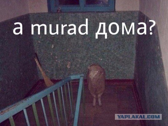 Жизнь после ОРГАЗМА  16+