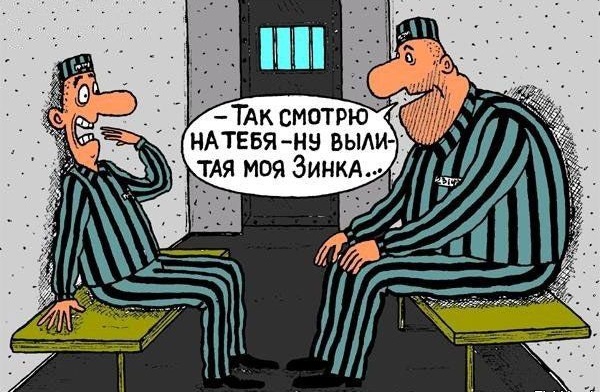 Весёлые картинки