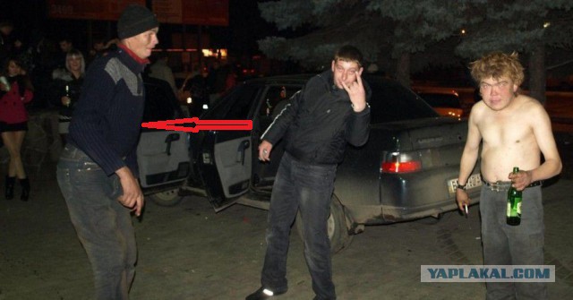 Подборка картинок 21.02.16