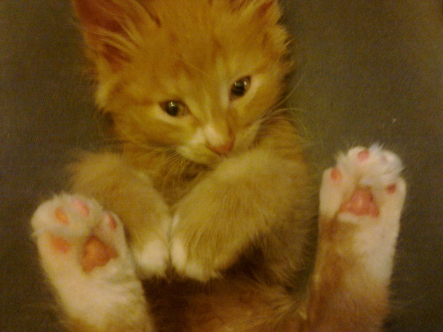 Поймал в подъезде