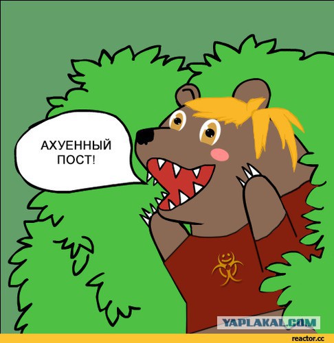 25 опасных мифов о выживании, которые могут принести больше вреда, чем пользы