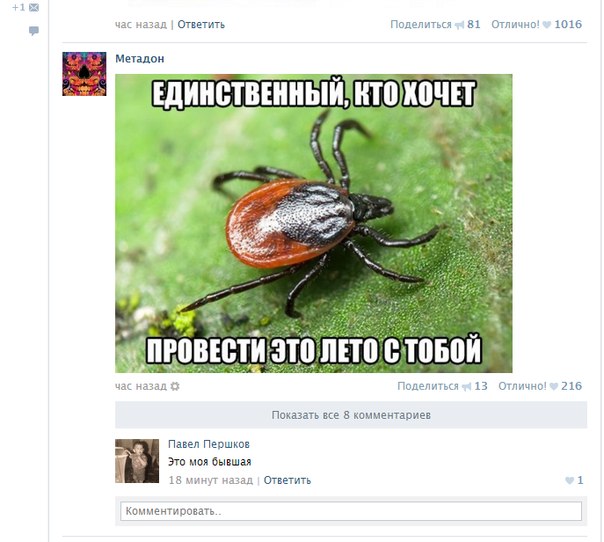 Ужасы и приколы из соцсетей 18+
