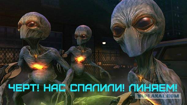 В Марианской впадине нашли неизвестных животных