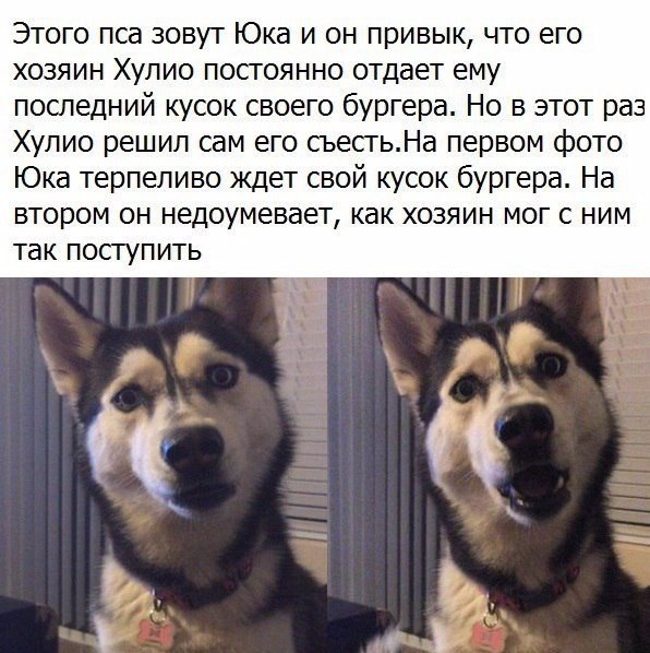 Разные картинки из сети