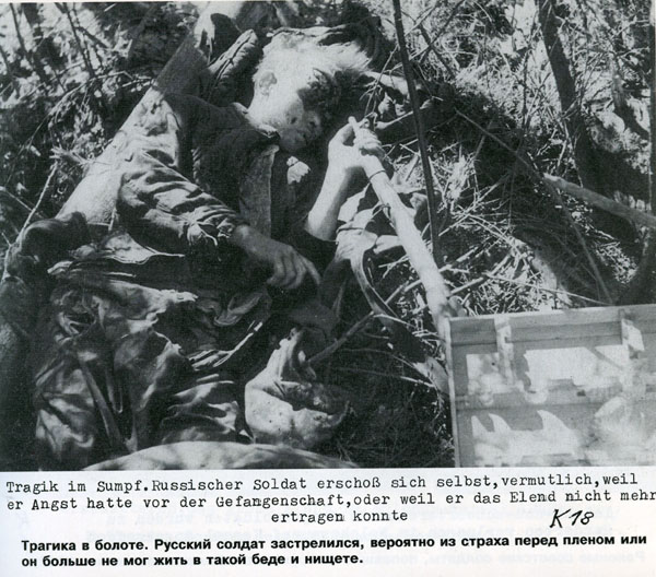 Волховский фронт. 1942. Взгляд с той стороны.