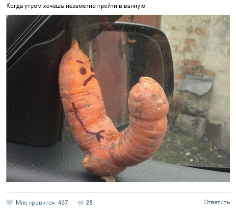 Ужасы и приколы из соцсетей 18+