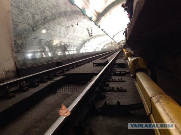 Бордовая ветка московского метро встала.