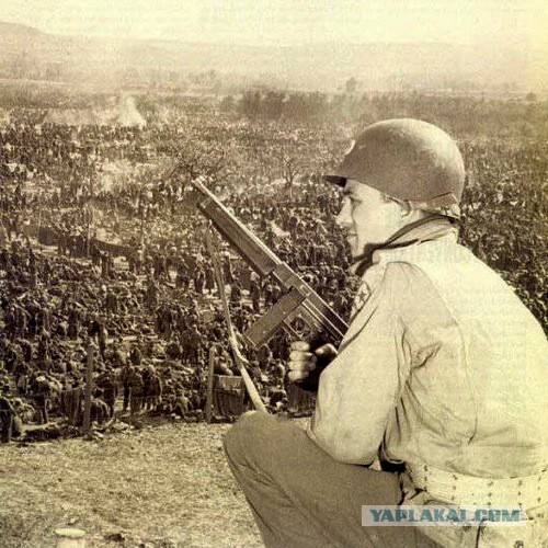 Сайгонские хроники: Паркс Дэвид. Дневник американского солдата