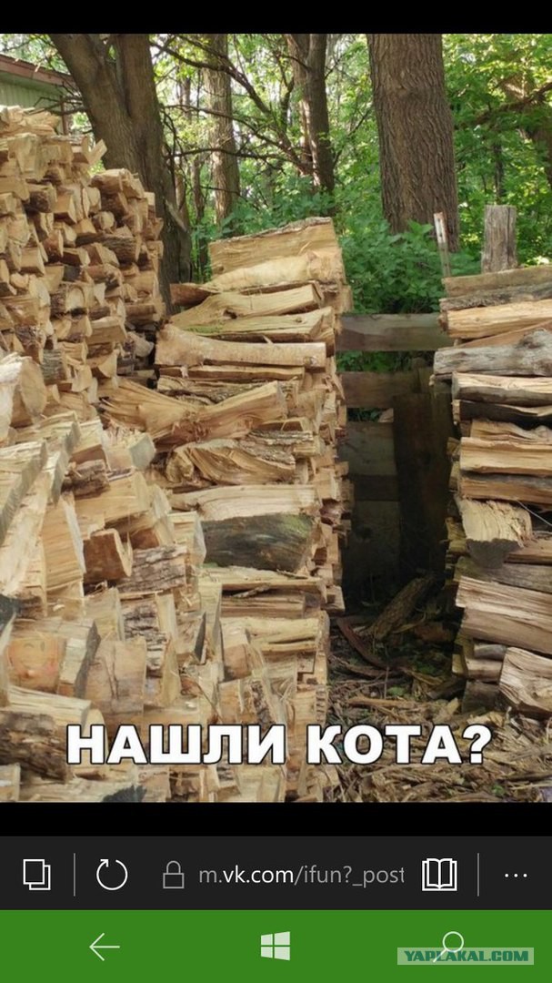 29 картинок