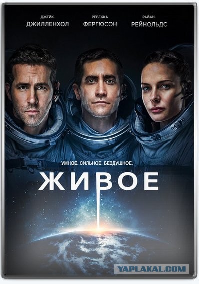 Неведомая зверушка.