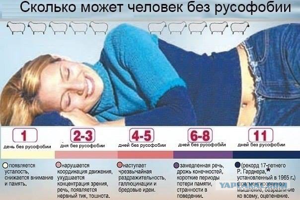 Витрины советских магазинов