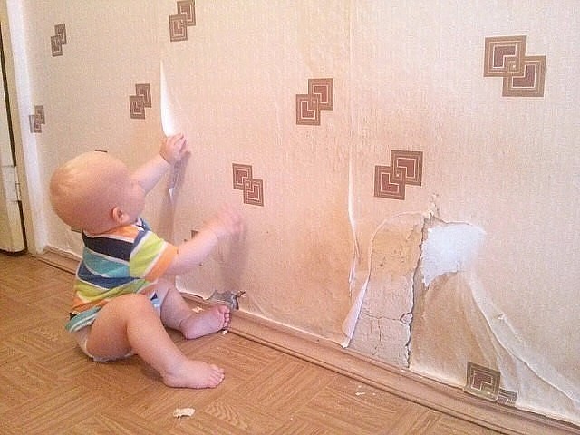 Итоги проверки пользователей