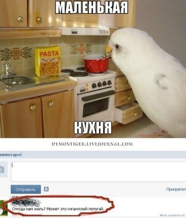 Кухонные приколы