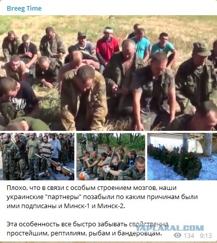 Я не понял, у нас тут была какая-то война?