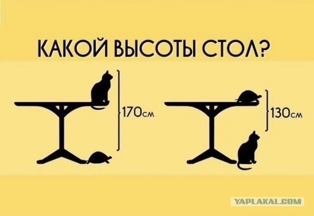 Где сегодня картинки?