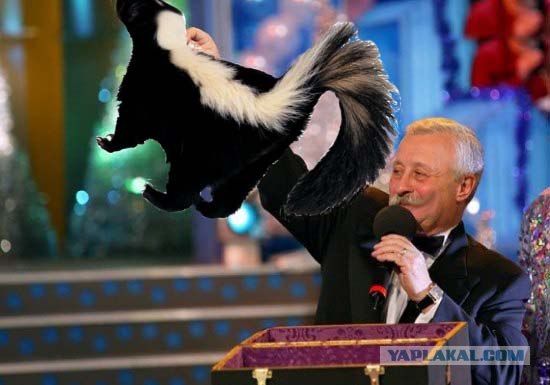 Поле Чудес