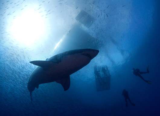 Самые захватывающие приключения в мире