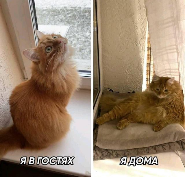 Картинки и буквы 15.07.22