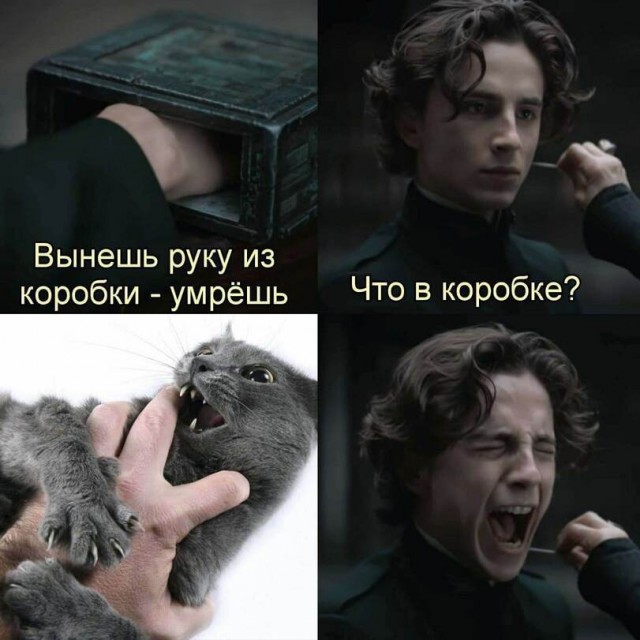 Баянисто-небаянистый юмор 21.02.22