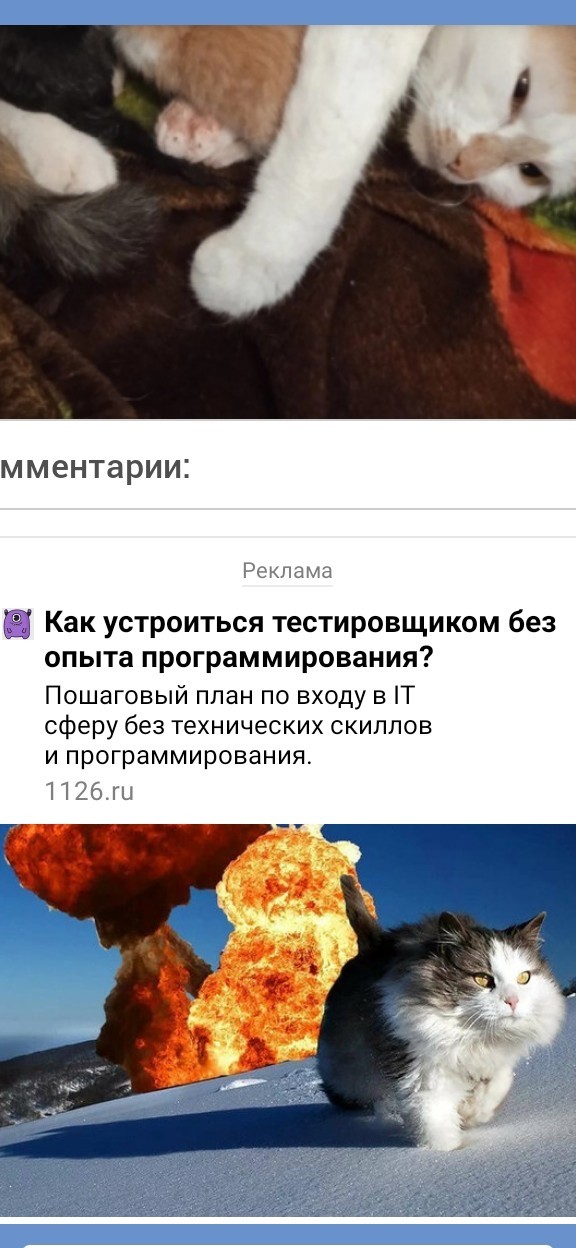 А у нас пополнение