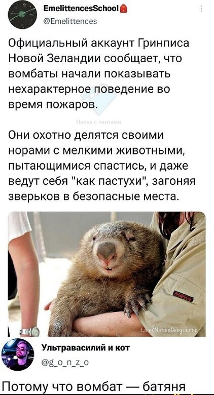 Тринадцатая подборка самых баянистых баянов! Ностальгируем...