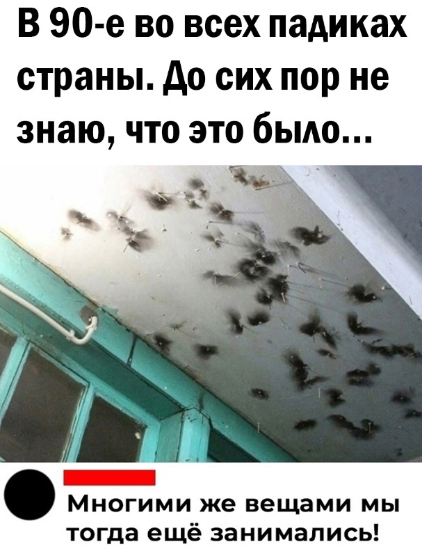 Так себе картинки 17.10.23