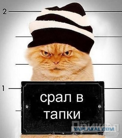 15-летний "Стоп-Хам"