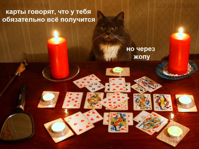 Вечер 1 января