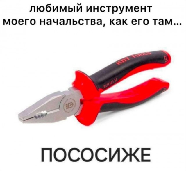 Бояны