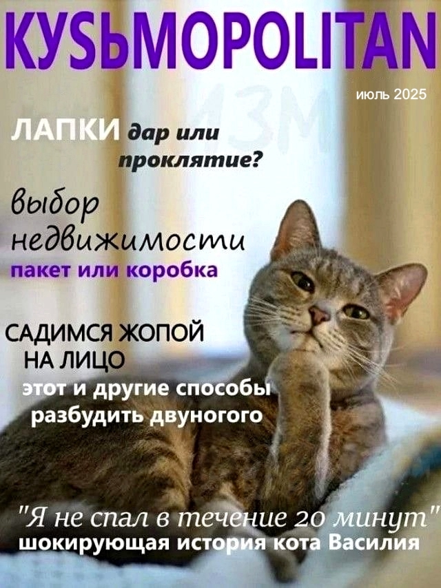 Так себе картинки 13.07.25