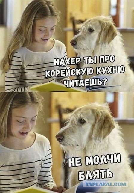 Картинки для деградации 3 (разной степени свежести)