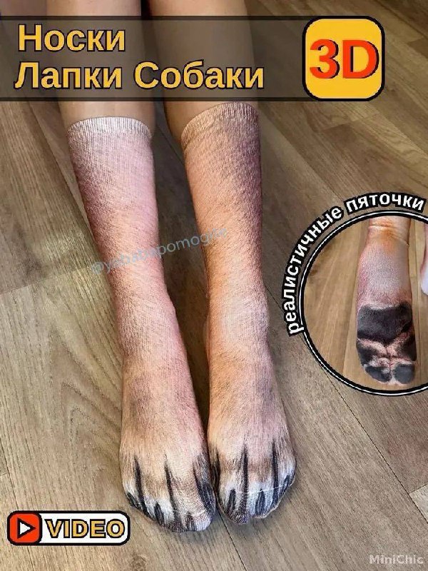 Последний вечер