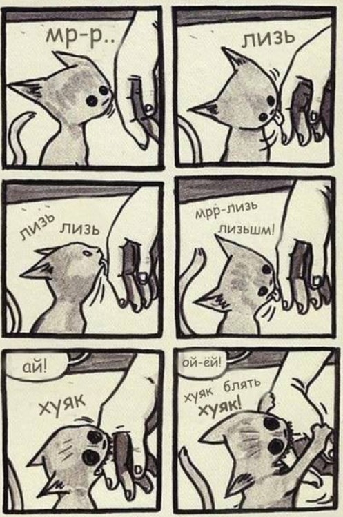 Картиночки, баянчики в начале мая