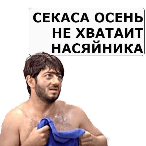 Россиян поздравили с «Днём Попеды»