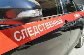 Следственный комитет не нашёл подтверждений информации об избиении в Москве 13-летней девочки из-за неубранных фекалий