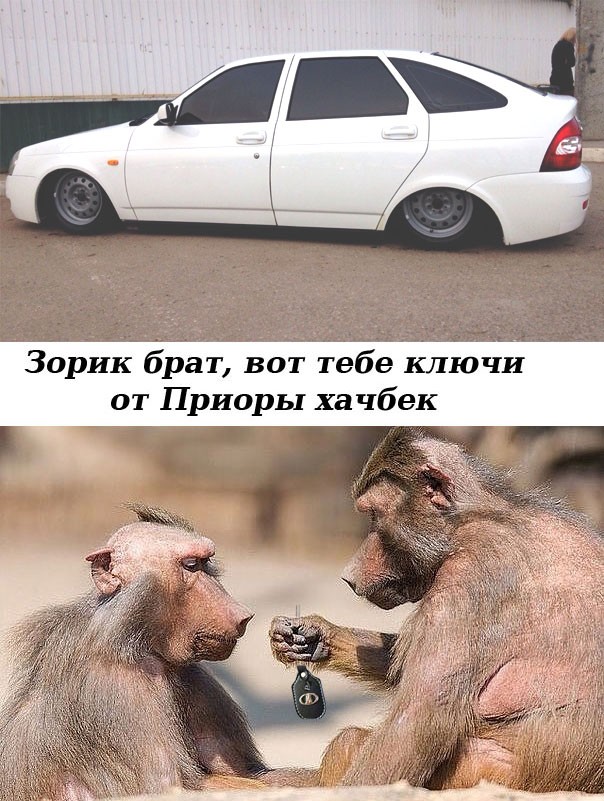 Картинки с надписями про авто