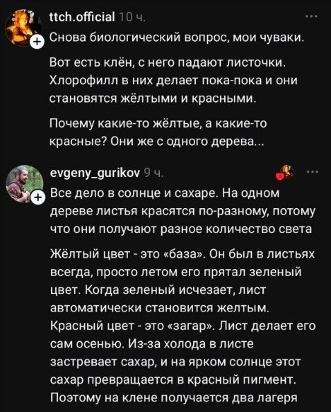 Картинки для деградации 300