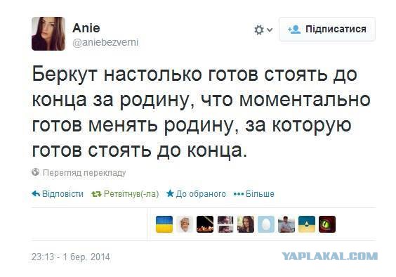 Беркут.